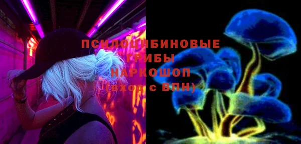 сатива Балахна