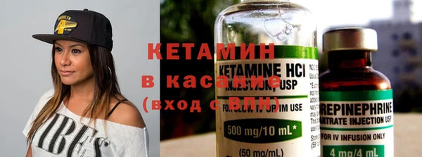 сатива Балахна